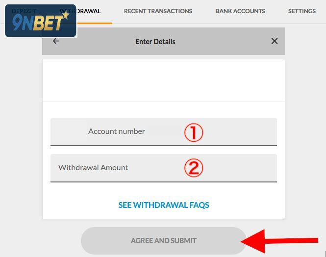 Prazos, M&eacute;todos e Seguran&ccedil;a do Saque na 9nbet